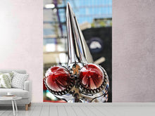 Load image into Gallery viewer, Photo Wallpaper Retro tailfin