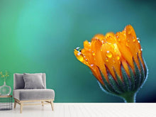 Load image into Gallery viewer, Photo Wallpaper Marigold in morning dew