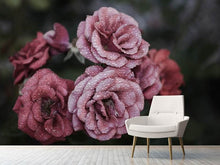 Load image into Gallery viewer, Photo Wallpaper Romantic roses