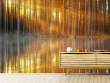 Load image into Gallery viewer, Photo Wallpaper Romantic mood in the forest