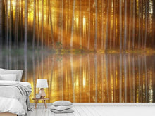 Load image into Gallery viewer, Photo Wallpaper Romantic mood in the forest