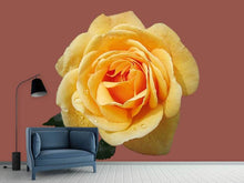 Load image into Gallery viewer, Photo Wallpaper Rose in yellow XXL