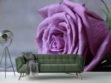 Load image into Gallery viewer, Photo Wallpaper Rose in purple XXL