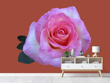 Load image into Gallery viewer, Photo Wallpaper Rose in pink XXL