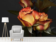 Load image into Gallery viewer, Photo Wallpaper Roses of the romance