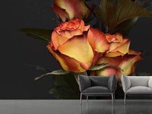 Load image into Gallery viewer, Photo Wallpaper Roses of the romance