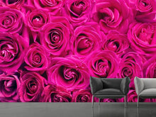 Load image into Gallery viewer, Photo Wallpaper Rose petals in pink