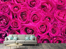 Load image into Gallery viewer, Photo Wallpaper Rose petals in pink