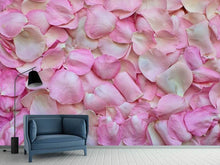 Load image into Gallery viewer, Photo Wallpaper Rose petals in pink 2