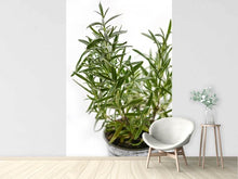 Load image into Gallery viewer, Photo Wallpaper Rosemary in the pot