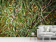 Load image into Gallery viewer, Photo Wallpaper Rosemary XXL