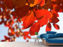 Load image into Gallery viewer, Photo Wallpaper Red leaves XL