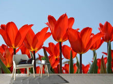 Load image into Gallery viewer, Photo Wallpaper Red tulips XL