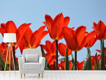 Load image into Gallery viewer, Photo Wallpaper Red tulips XL