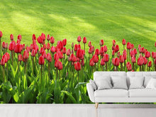 Load image into Gallery viewer, Photo Wallpaper Red tulip field in the sunlight
