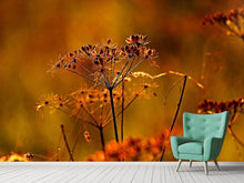 Load image into Gallery viewer, Photo Wallpaper seeds