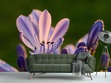 Load image into Gallery viewer, Photo Wallpaper Ornamental lilies with morning dew