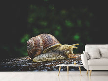 Load image into Gallery viewer, Photo Wallpaper Snail XXL