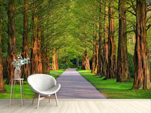 Load image into Gallery viewer, Photo Wallpaper Beautiful avenue in nature