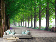 Load image into Gallery viewer, Photo Wallpaper Beautiful tree avenue