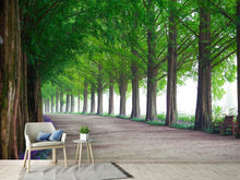 Load image into Gallery viewer, Photo Wallpaper Beautiful tree avenue