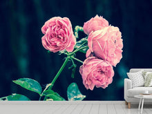 Load image into Gallery viewer, Photo Wallpaper Beautiful pink roses