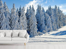Load image into Gallery viewer, Photo Wallpaper Beautiful winter landscape