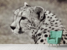 Load image into Gallery viewer, Photo Wallpaper Beautiful cheetah