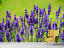 Load image into Gallery viewer, Photo Wallpaper Beautiful lavender