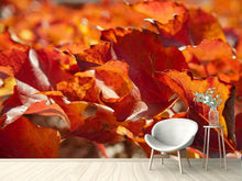 Load image into Gallery viewer, Photo Wallpaper Nice autumn leaves