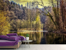 Load image into Gallery viewer, Photo Wallpaper Lake in the forest