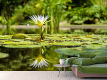 Load image into Gallery viewer, Photo Wallpaper Water lily in nature