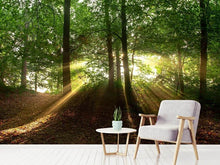 Load image into Gallery viewer, Photo Wallpaper Sun in the forest
