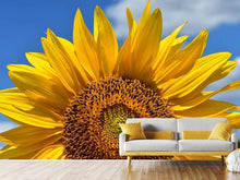 Load image into Gallery viewer, Photo Wallpaper Sunflower in XXL