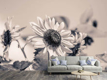 Load image into Gallery viewer, Photo Wallpaper Sunflowers sw