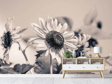 Load image into Gallery viewer, Photo Wallpaper Sunflowers sw