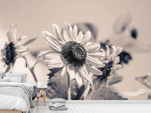 Load image into Gallery viewer, Photo Wallpaper Sunflowers sw