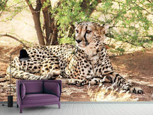 Load image into Gallery viewer, Photo Wallpaper Sun cheetah