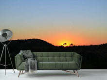 Load image into Gallery viewer, Photo Wallpaper Sunset in Africa