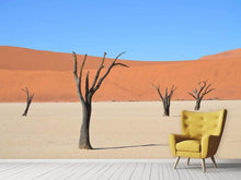 Load image into Gallery viewer, Photo Wallpaper Sossusvlei Namibia