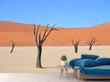 Load image into Gallery viewer, Photo Wallpaper Sossusvlei Namibia