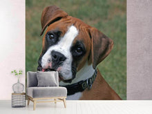 Load image into Gallery viewer, Photo Wallpaper Play with me !