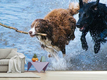 Load image into Gallery viewer, Photo Wallpaper Playing dogs