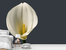 Load image into Gallery viewer, Photo Wallpaper Proud Calla