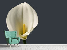 Load image into Gallery viewer, Photo Wallpaper Proud Calla