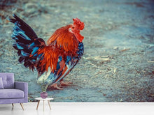 Load image into Gallery viewer, Photo Wallpaper Proud cock