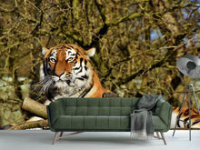 Load image into Gallery viewer, Photo Wallpaper Proud Tiger