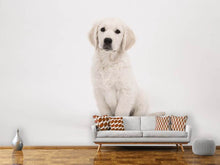 Load image into Gallery viewer, Photo Wallpaper Sweet Golden Retriever puppy