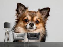 Load image into Gallery viewer, Photo Wallpaper Sweet chihuahua