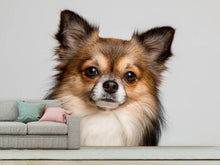 Load image into Gallery viewer, Photo Wallpaper Sweet chihuahua